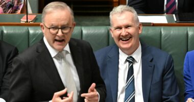 Hate preacher who praised terror attacks gets a visa to Australia - while democratically elected Israeli politicians are banned