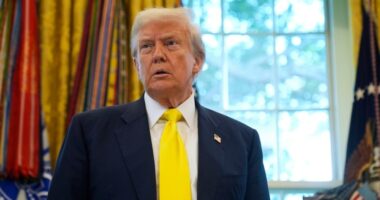 High costs after tariffs pose threat to Trump and GOP