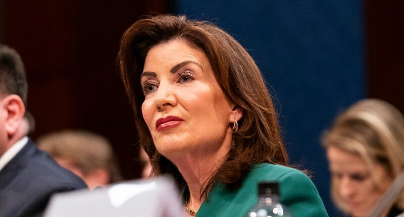 Hochul vows to explore 'every option' to redraw NY House maps