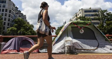 How Washington turned into a violent drug-infested swamp with crack addicts in sight of the White House