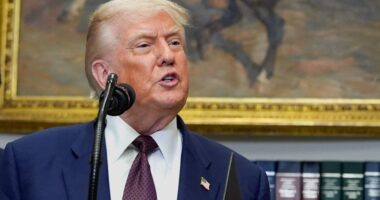 How countries are reacting to Trump's latest tariff announcements as deadline looms