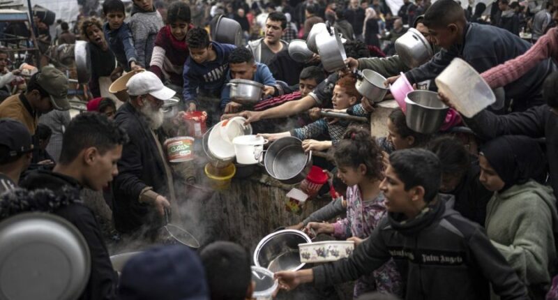 Hunger crisis in Gaza deepens criticisms of Israel on Capitol Hill