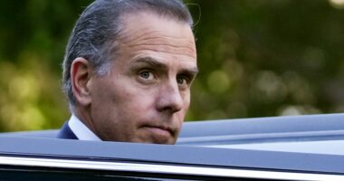 Hunter Biden won't apologize to Melania Trump over Epstein comments