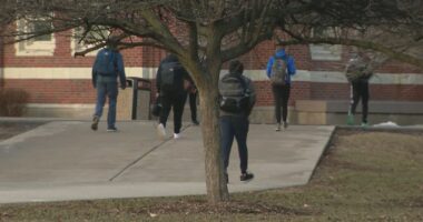 Illinois schools to implement annual mental health screenings starting in 2027