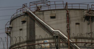 India's oil options in a post-Russia world