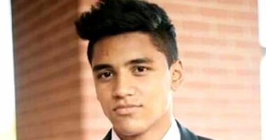Inquiry begins into apprentice's death in fatal street brawl in Sydney