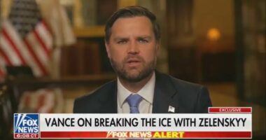 JD Vance's threat for Zelensky to 'behave' revealed as VP urges Elon Musk to join future of MAGA