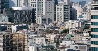 Japan core inflation dips to lowest since March as rice prices cool