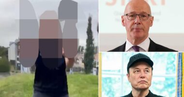 John Swinney accuses Elon Musk of spreading 'misinformation' over police incident involving Scots schoolgirl