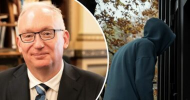 MP wants major change to self-defence laws following spike in violent crime