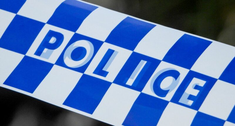 Man charged after allegedly trying to lure girls into his car in Sydney