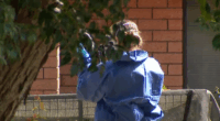 Man charged with DV murder after woman found dead in NSW Hunter region