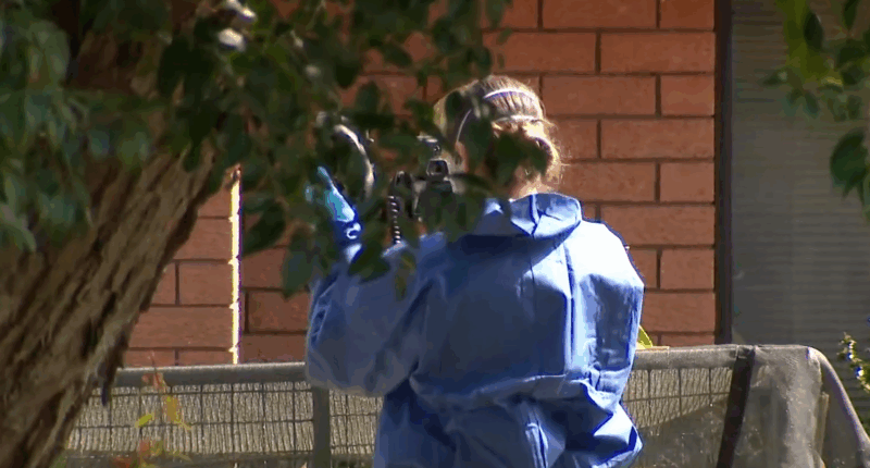Man charged with DV murder after woman found dead in NSW Hunter region