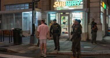 Man charged with throwing sandwich at federal agent released awaiting trial