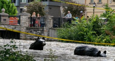 Milwaukee area drying out after weekend rain causes record flooding on multiple rivers