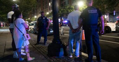 More than 450 arrested since DC takeover, White House official says