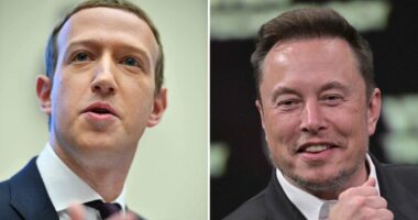 Musk brags he lured Meta's top stars away