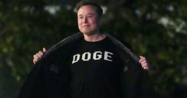 Musk leaves cryptic comment on former employee Katie Miller's post