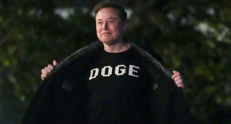 Musk leaves cryptic comment on former employee Katie Miller's post