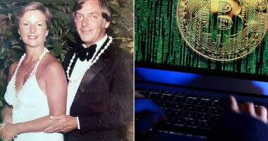 My ex-RAF engineer husband lost our £120,000 life savings to crypto scammers - and I'm convinced the stress killed him