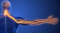 My left arm often tingles... should I fear a heart attack? This is the unlikely cause, DR SCURR reveals... and this is what you must now do