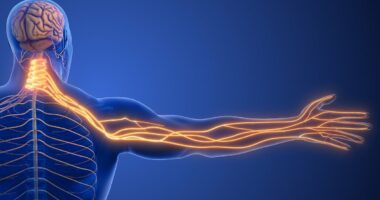 My left arm often tingles... should I fear a heart attack? This is the unlikely cause, DR SCURR reveals... and this is what you must now do