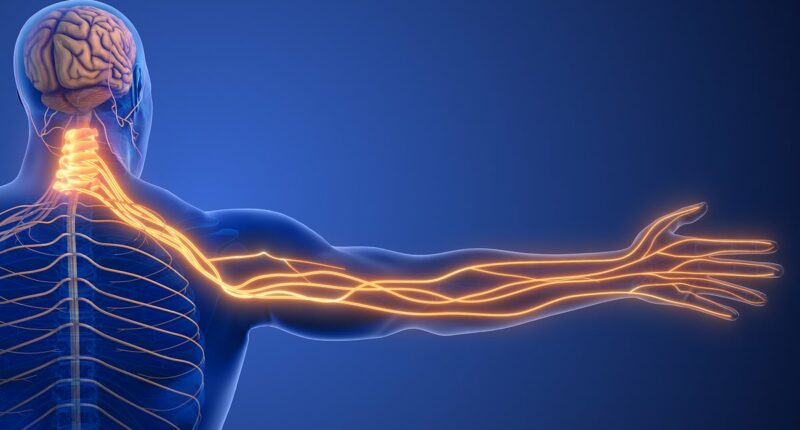 My left arm often tingles... should I fear a heart attack? This is the unlikely cause, DR SCURR reveals... and this is what you must now do