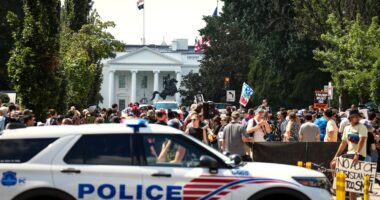 Police car is parked near protestors in DC