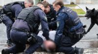New gang allegedly recruiting kids to commit crimes for feuding underworld groups
