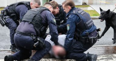 New gang allegedly recruiting kids to commit crimes for feuding underworld groups