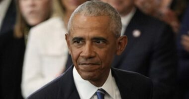 Obama takes part in call with Texas Democrats