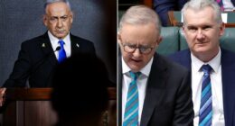 PETER VAN ONSELEN: Tony Burke's childish and VERY rehearsed attack on Israel's Netanyahu will have consequences for Australia