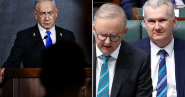 PETER VAN ONSELEN: Tony Burke's childish and VERY rehearsed attack on Israel's Netanyahu will have consequences for Australia