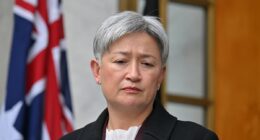 Penny Wong takes a swipe at Israel