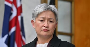 Penny Wong takes a swipe at Israel