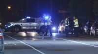 Police hunting driver over deadly hit and run