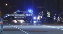Police hunting driver over deadly hit and run