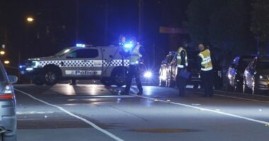Police hunting driver over deadly hit and run