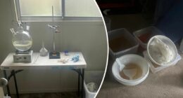 Police uncover drug lab, $7.6 million in meth inside Sydney home