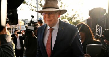 Premier says Gareth Ward's resignation 'three or four days too late'