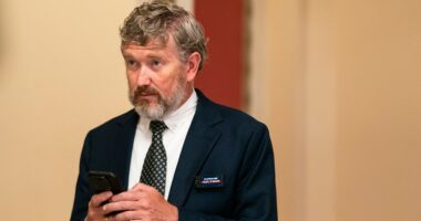 Rep. Thomas Massie pushes for vote to release Epstein files