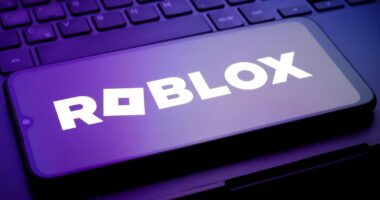 Roblox Child Safety Controversy Grows: Louisiana Sues Gaming Platform