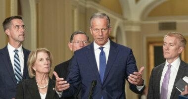Senate heads home with no deal to speed confirmations as irate Trump tells Schumer to 'go to hell'