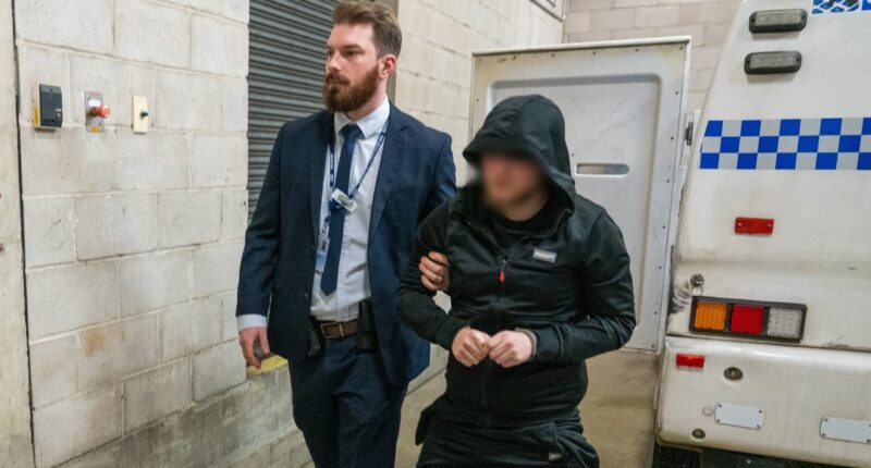 Seven teens arrested in probe of car thefts in Sydney's west