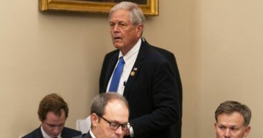 South Carolina Republican: High prices are ‘for the good of the country’