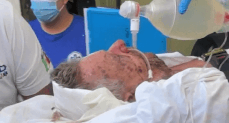 Stung 500 times by 'killer bees', Utah dad needs help recovering
