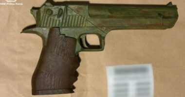 Teen charged after allegedly making guns at university