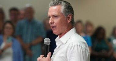 Texas Dems set to return home amid California's redistricting call