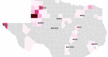 map visualization