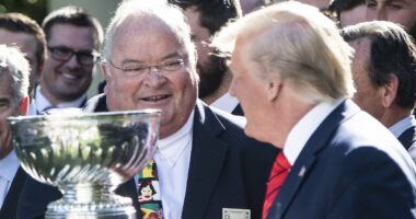 The REAL reason Trump fired his rogue IRS chief as former rep's cringeworthy email blasts are revealed